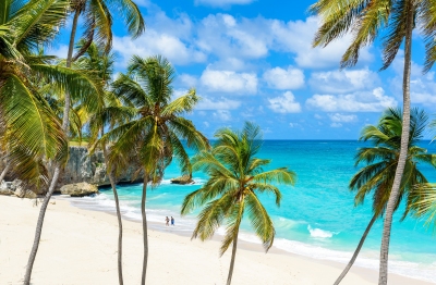 Strand der Bottom Bay auf Barbados (Simon Dannhauer / stock.adobe.com)  lizenziertes Stockfoto 
Informazioni sulla licenza disponibili sotto 'Prova delle fonti di immagine'